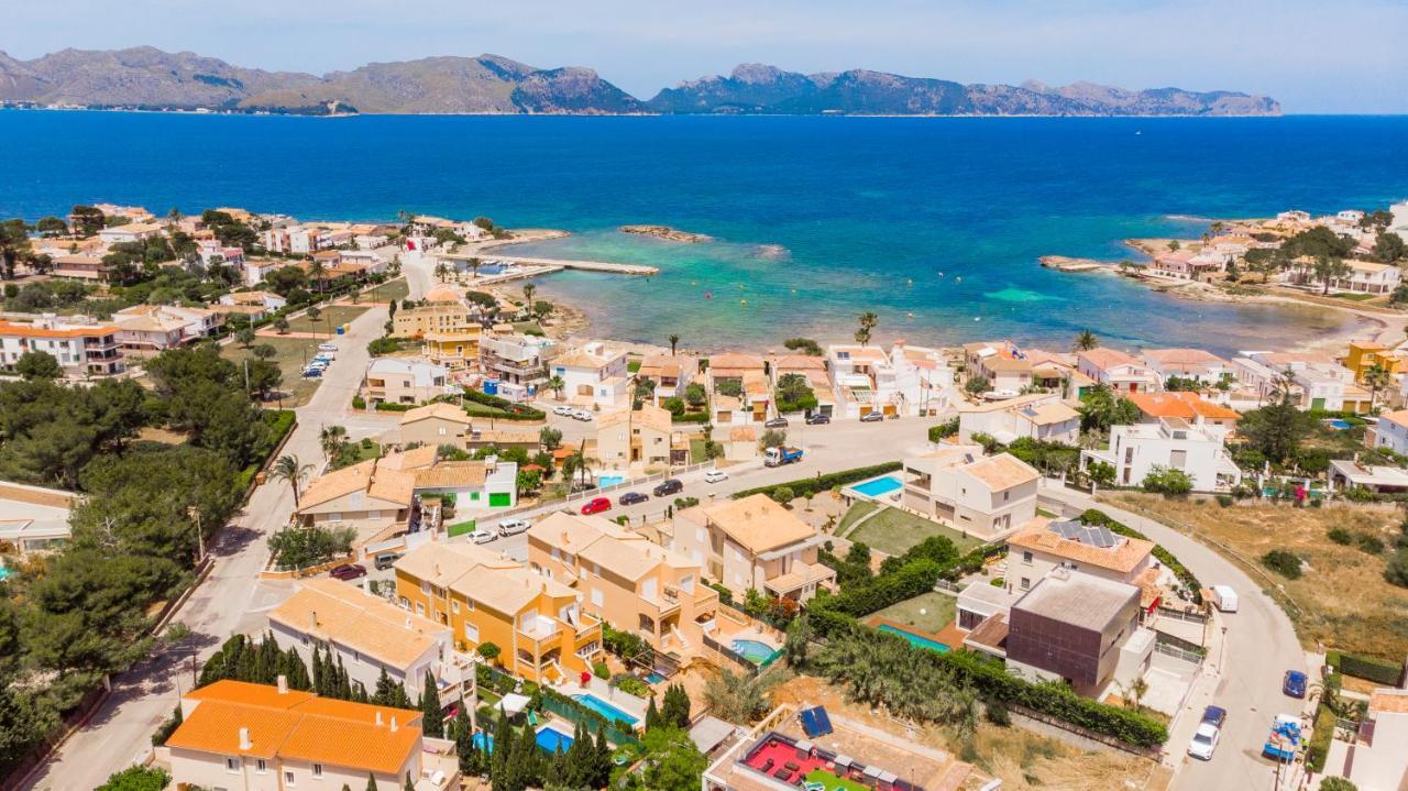 Olivo Alcúdia